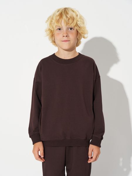 Костюм для хлопчиків (світшот + штани) Malta 25/Д571/1-13 + 25/Д617/1-13 демісезон, темно-коричневий 31751350726869 фото